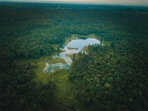 The Pench- Sillari Nagpur